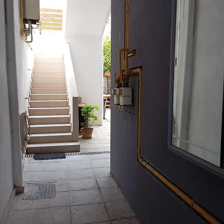 Lemon Tree'S House In Athens-2